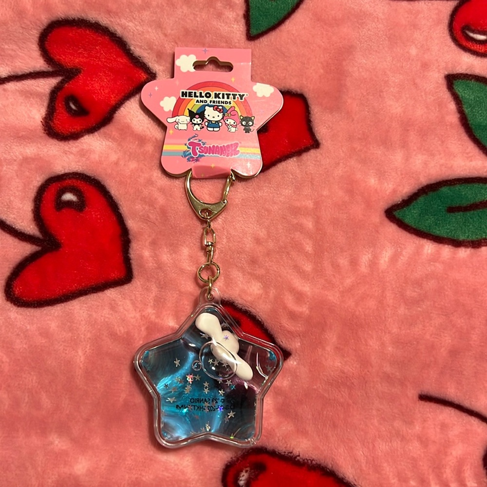 Hello kitty and friend’s keychain! Cinnamroll blue keychain. Tsunameez.